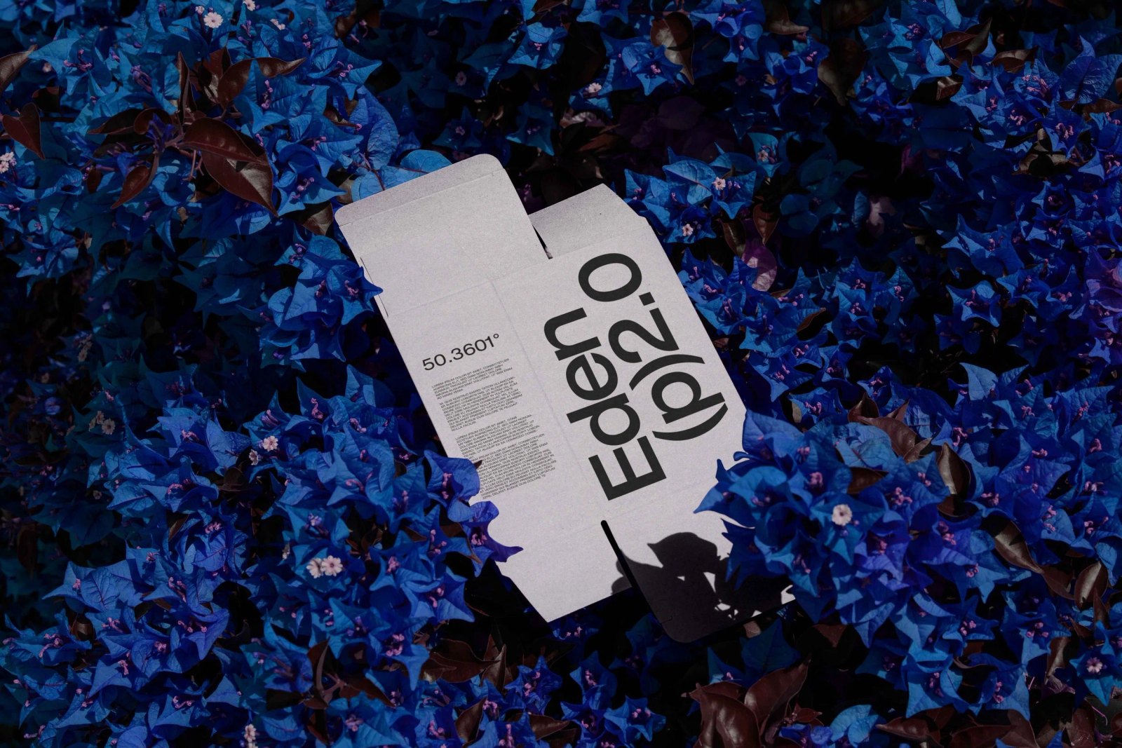EDEN 02 BOX 05