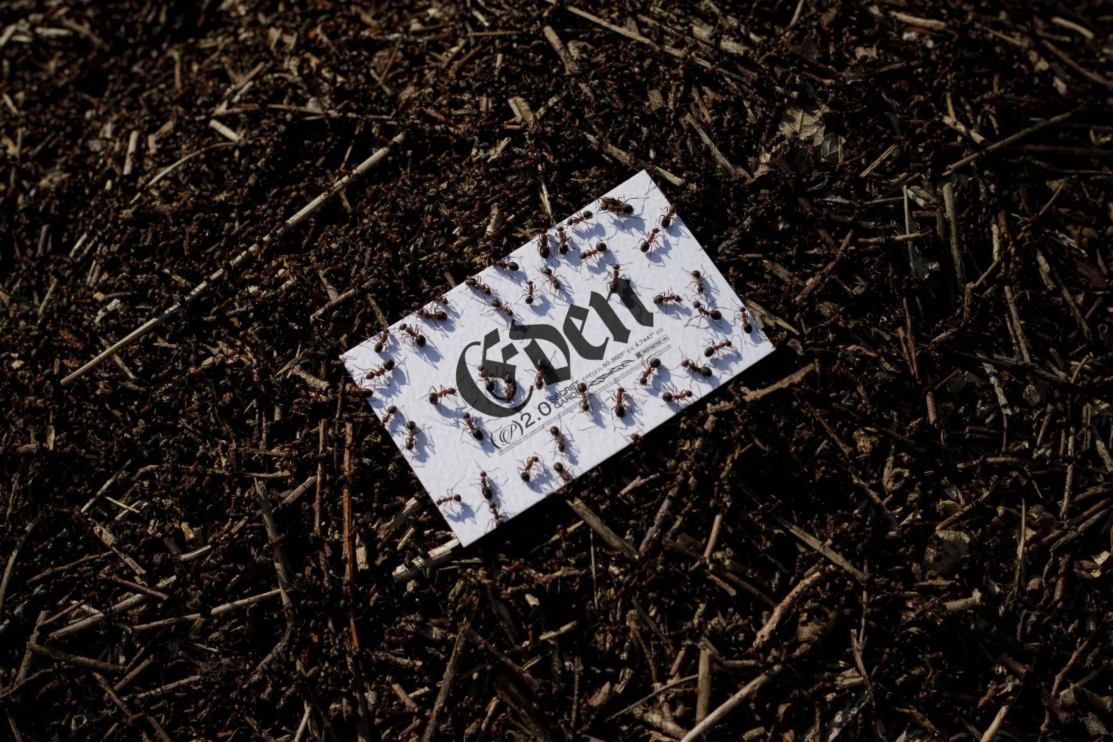 EDEN 02 BUSINESS CARD 18