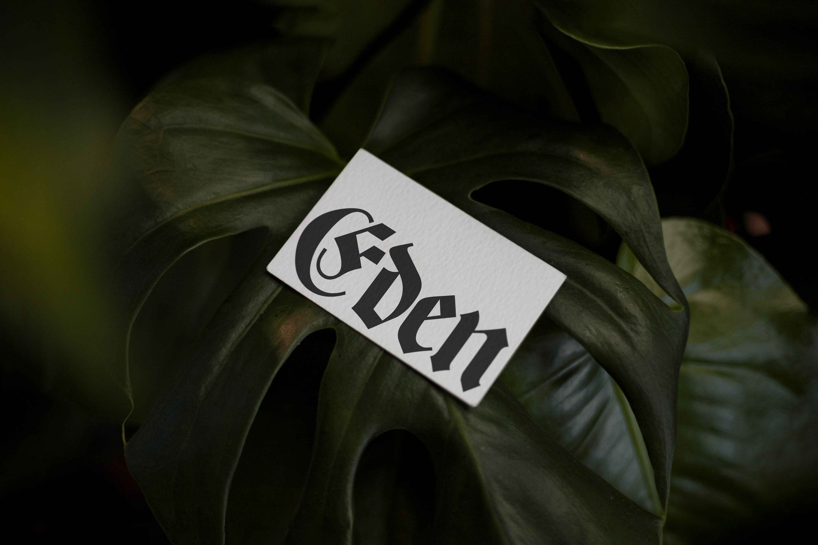 EDEN 02 BUSINESS CARD 05