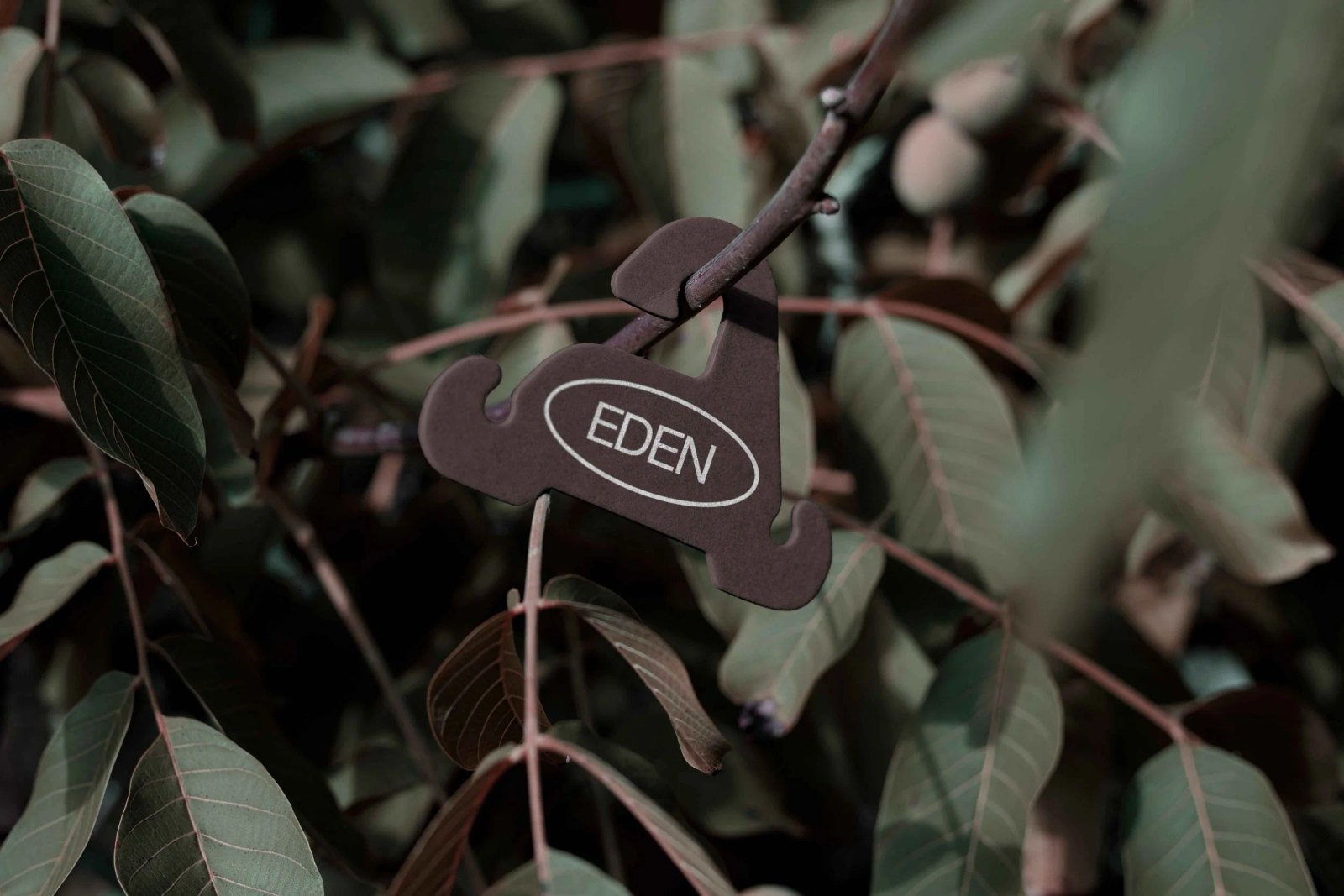 EDEN ECO HANGER 01 preview 3