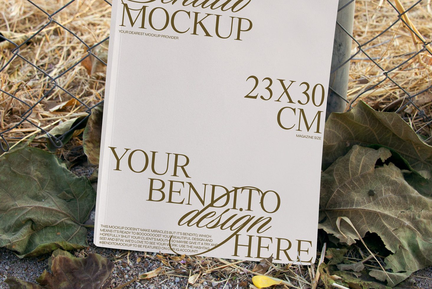 Magazine D 02 Mockup preview 2