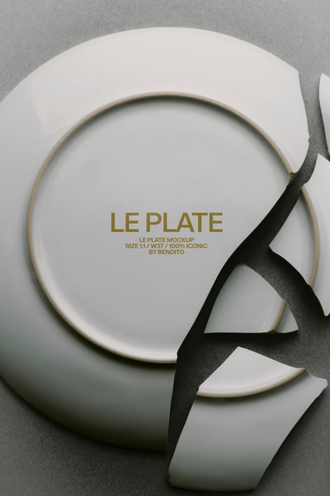 Le Plate LB26W37 Mockup