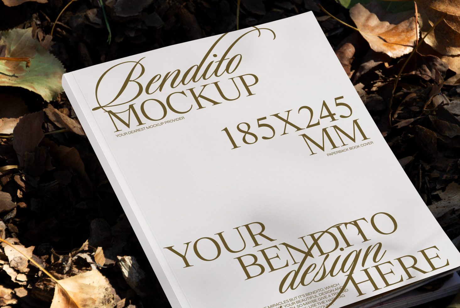 Book D 02 Mockup preview 2