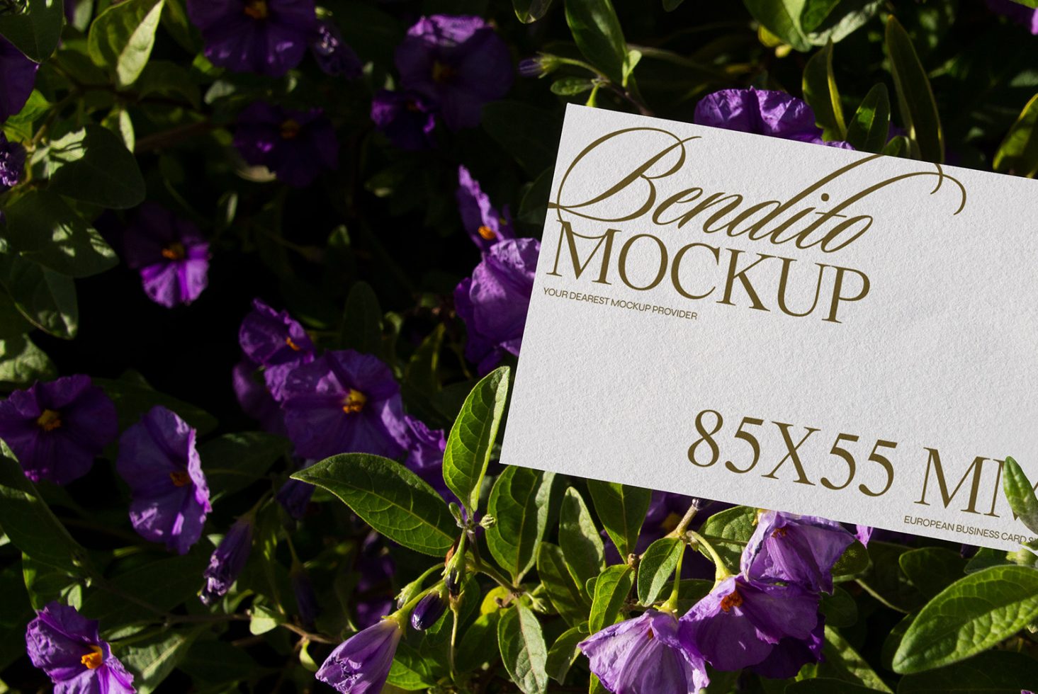 Business Card D 07 Mockup preview 2