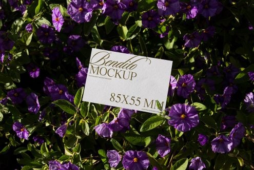 Business Card D 07 Mockup