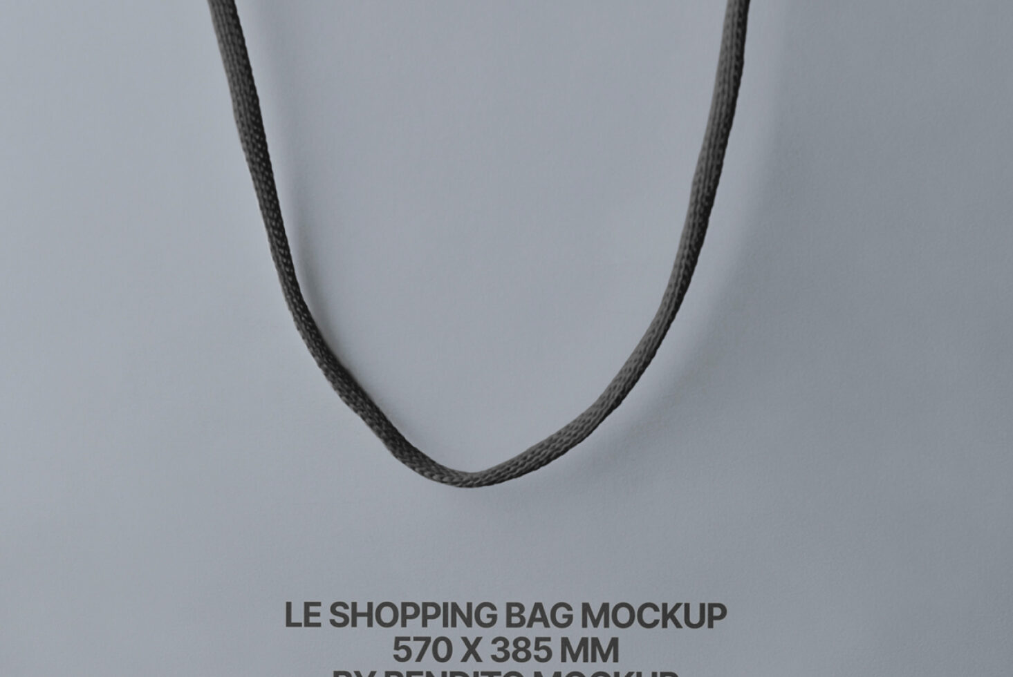 Le Shopping Bag LB25W34 Mockup preview 2