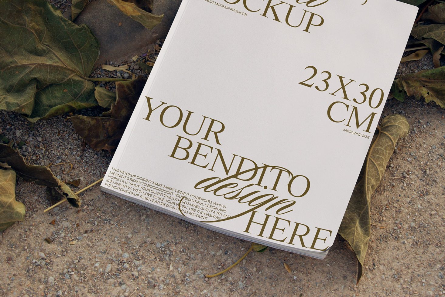 Magazine D 01 Mockup preview 2