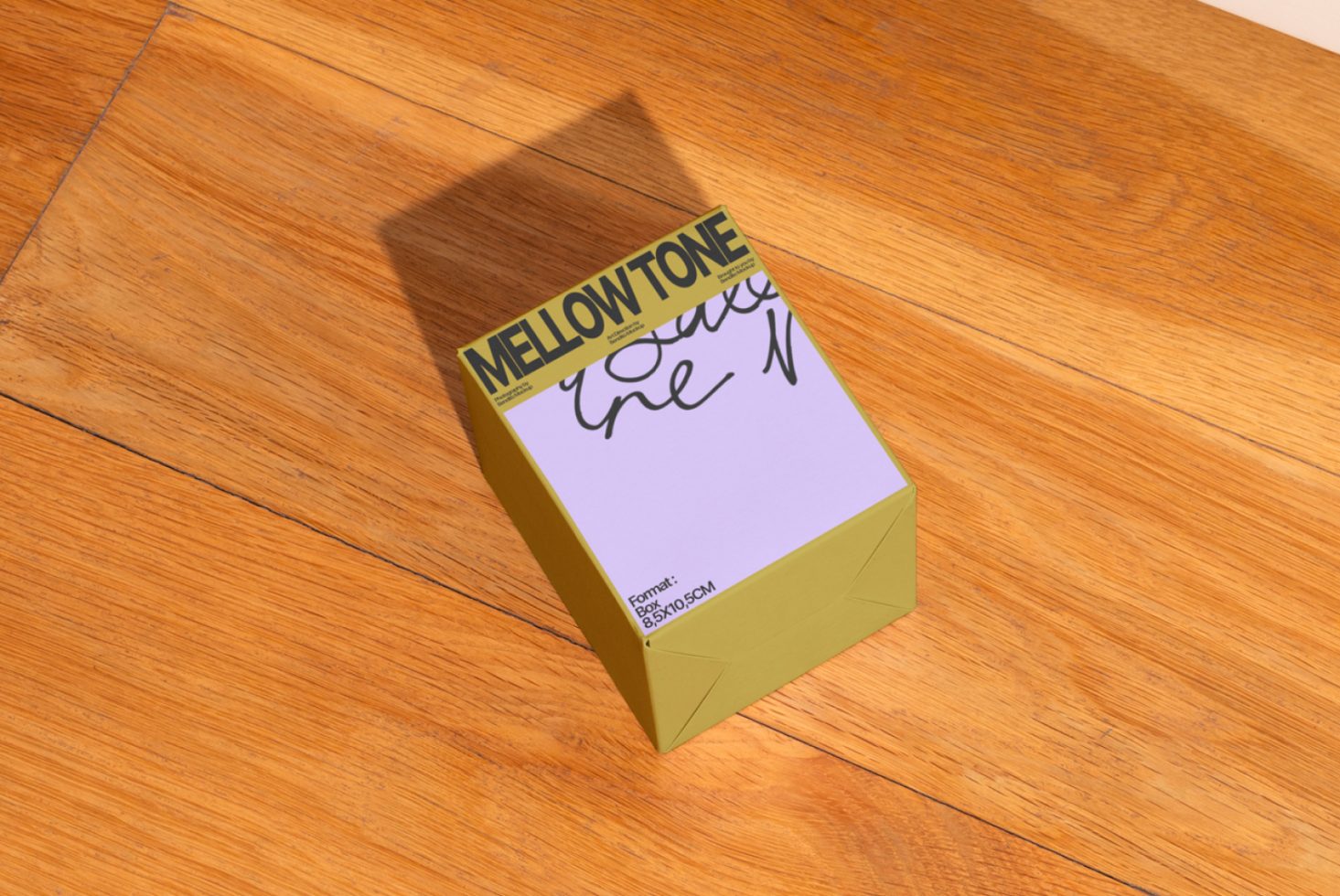 Packaging MT01 Mockup preview 2