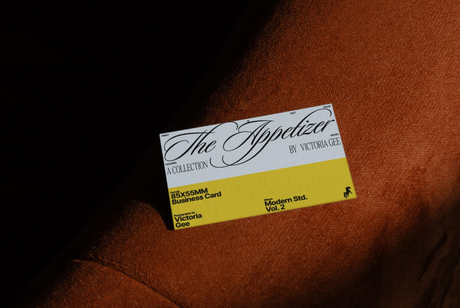 Business Card TA02 Mockup preview 2