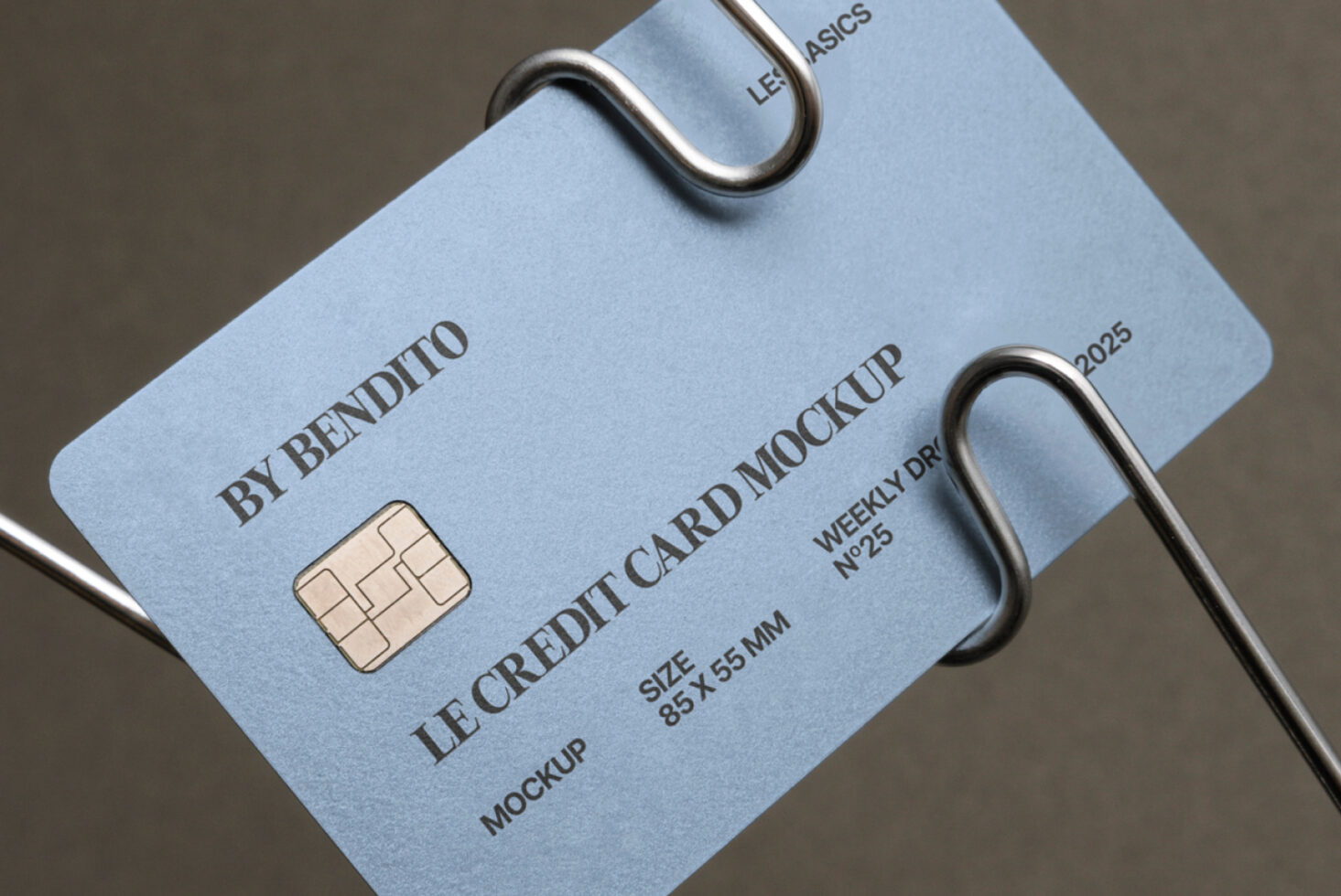Le Credit Card LB25W25 Mockup preview 2