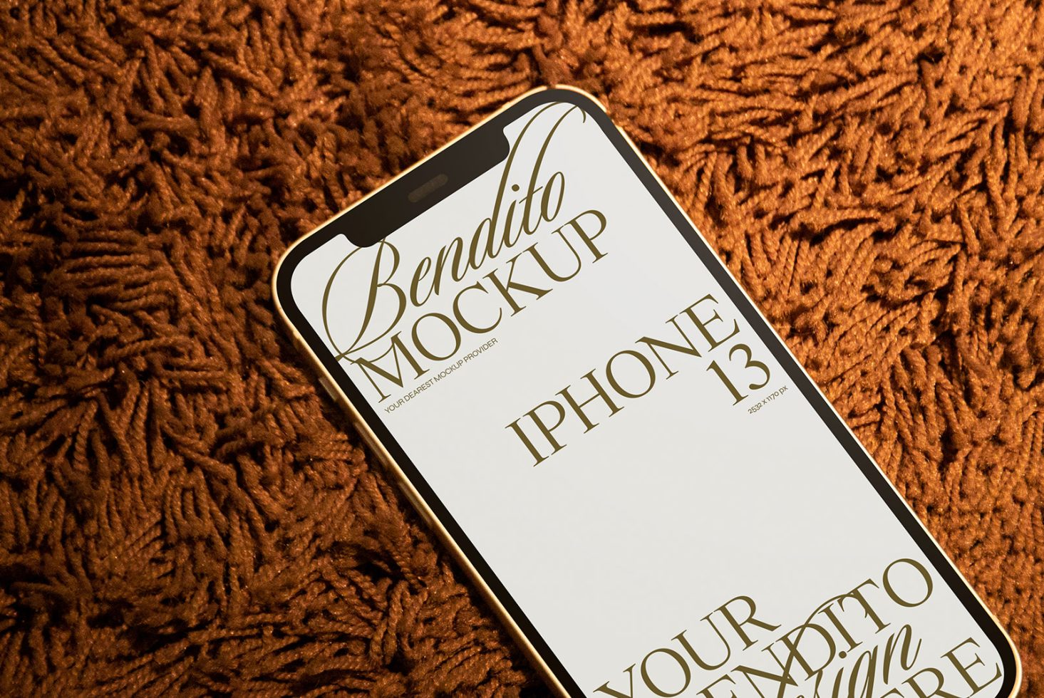 iPhone F 01 Mockup preview 2
