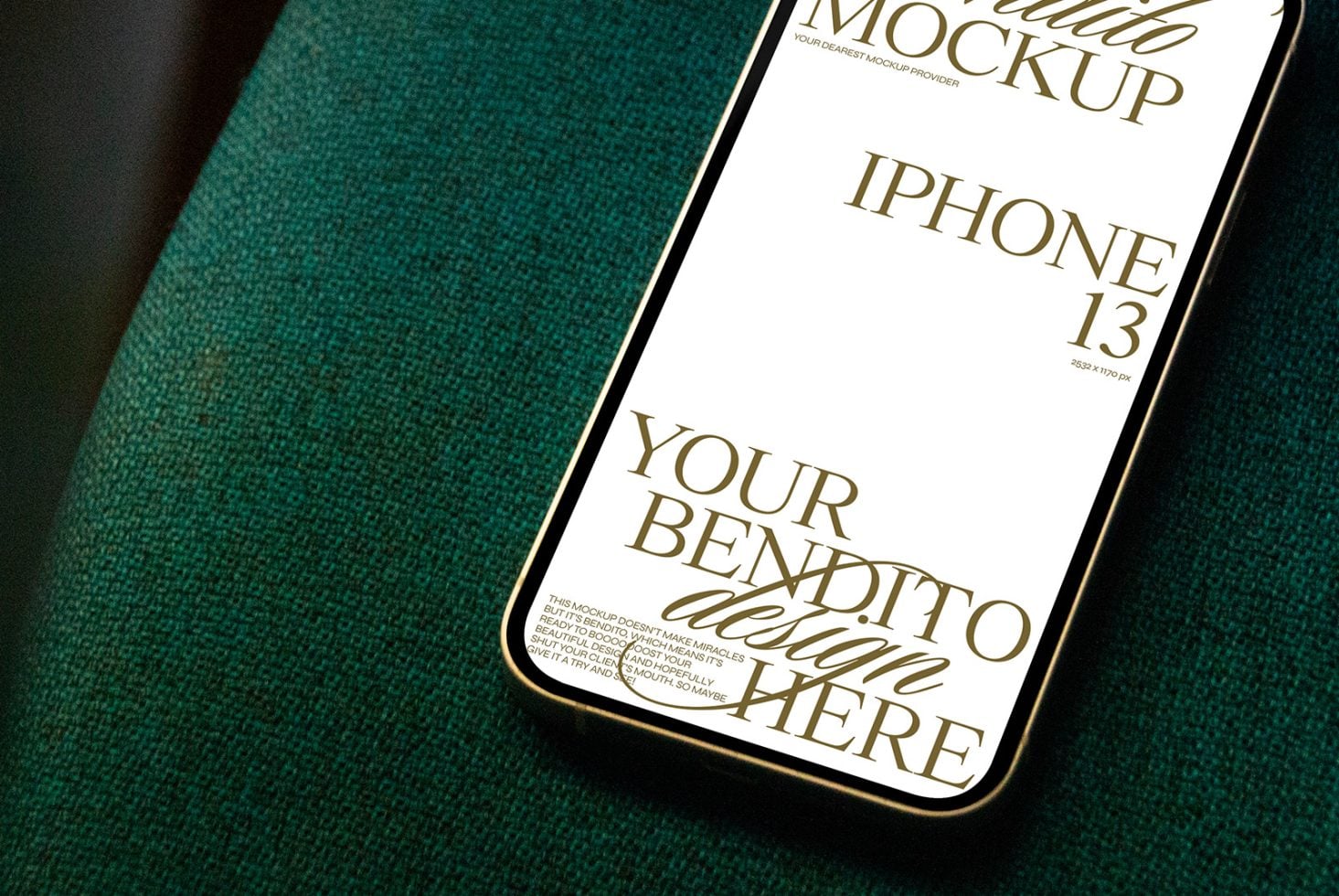 iPhone F 04 Mockup preview 2
