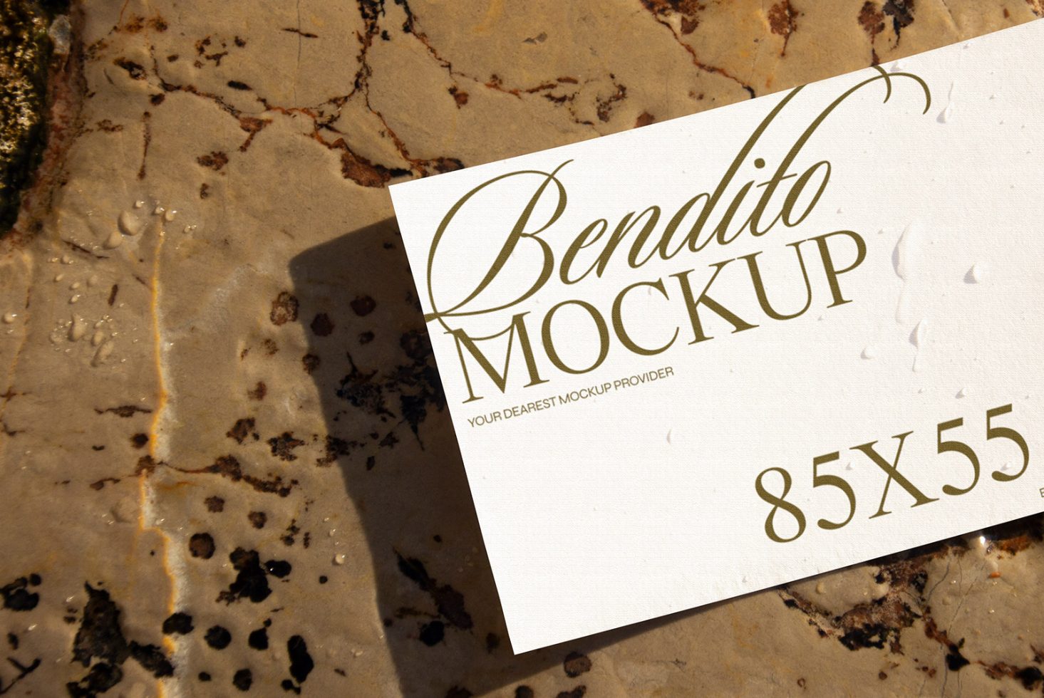 Business Card D 05 Mockup preview 2