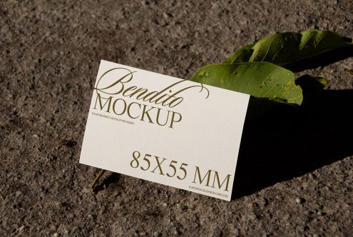 Business Card D 04 Mockup