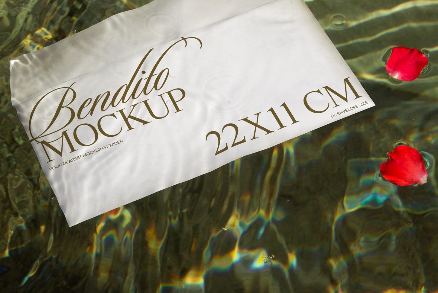Envelope D 03 Mockup preview 2