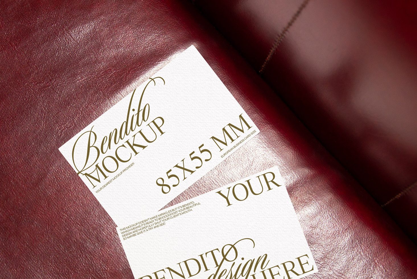 Business Card F 05 Mockup preview 2