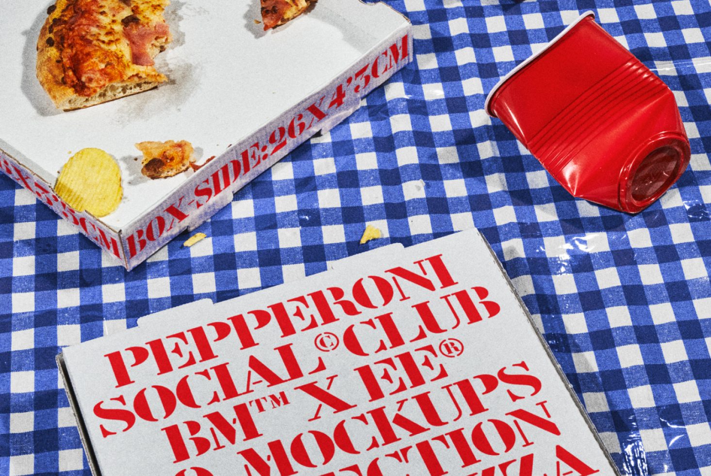 Pizza Box PSCv203 Mockup preview 2