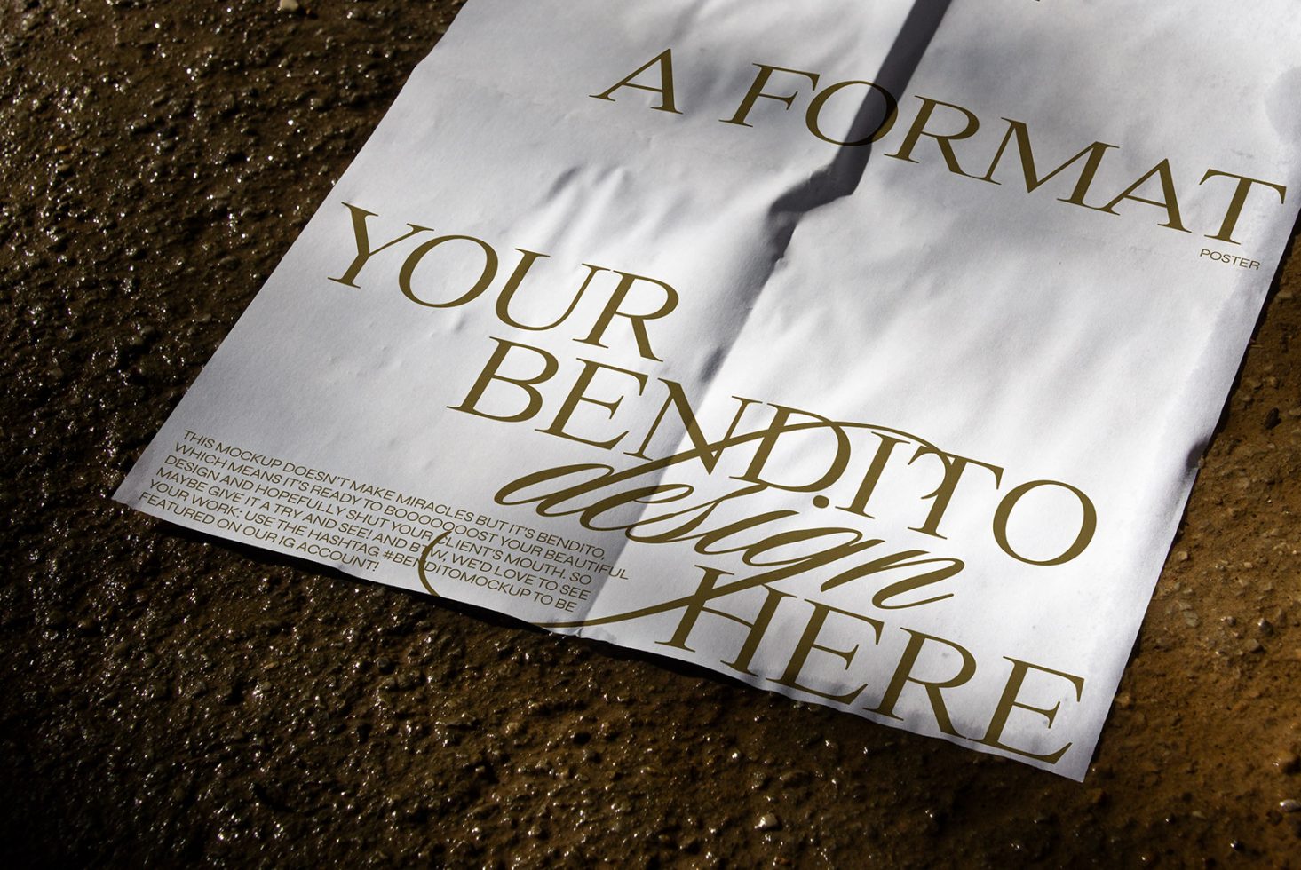 Poster D 04 Mockup preview 2