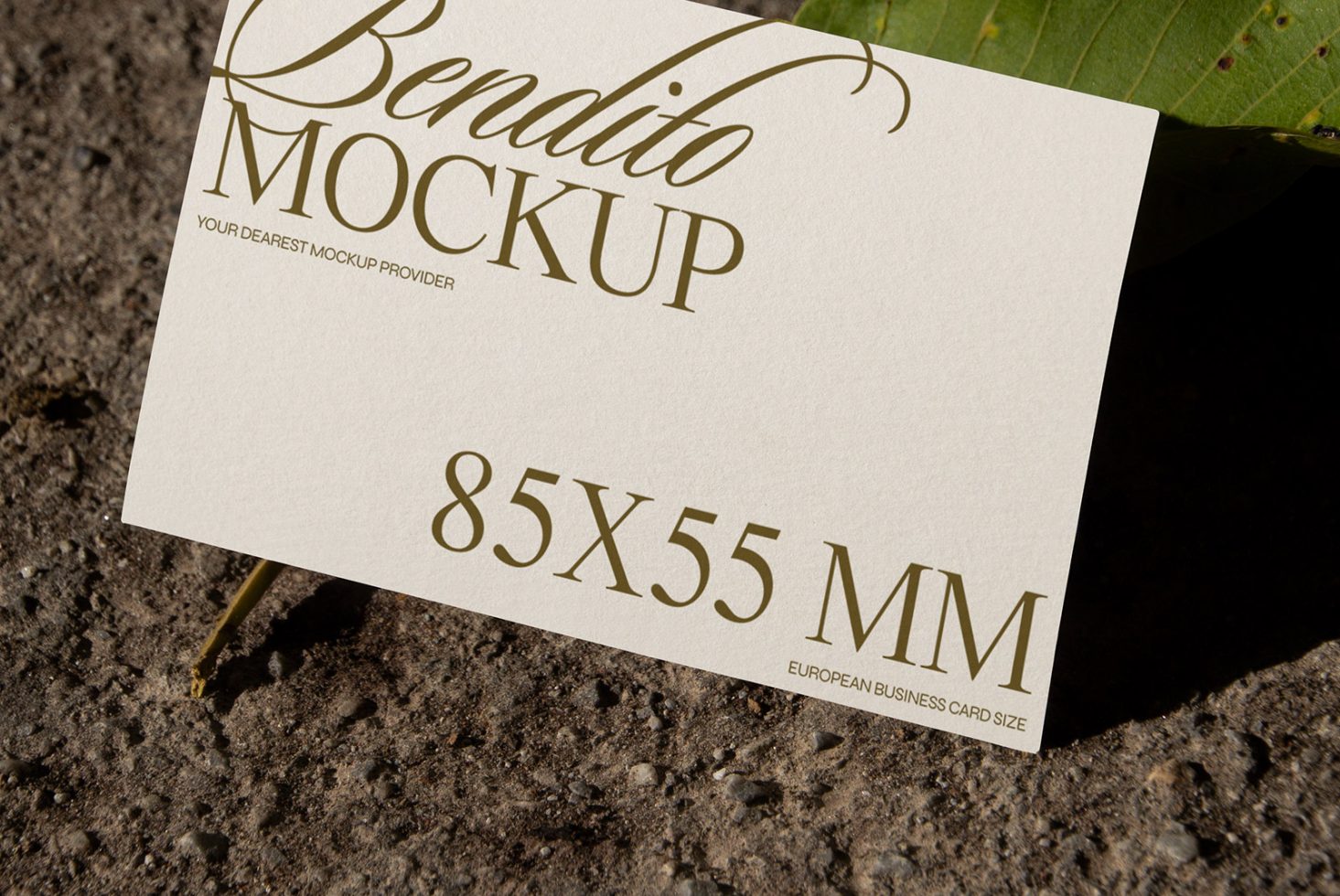 Business Card D 04 Mockup preview 2