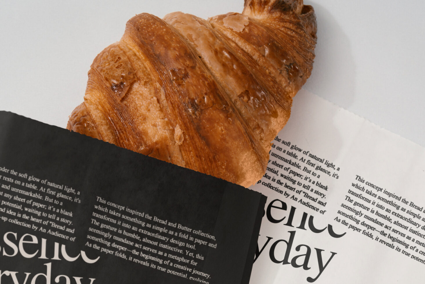 Take Away Bag BandB02 Mockup preview 2