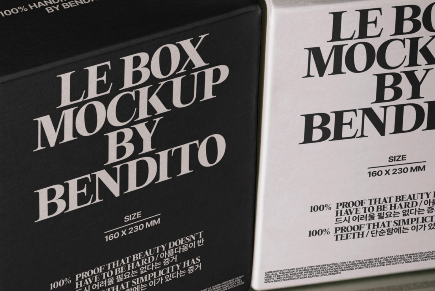 Le Box LB25W24 Mockup preview 2