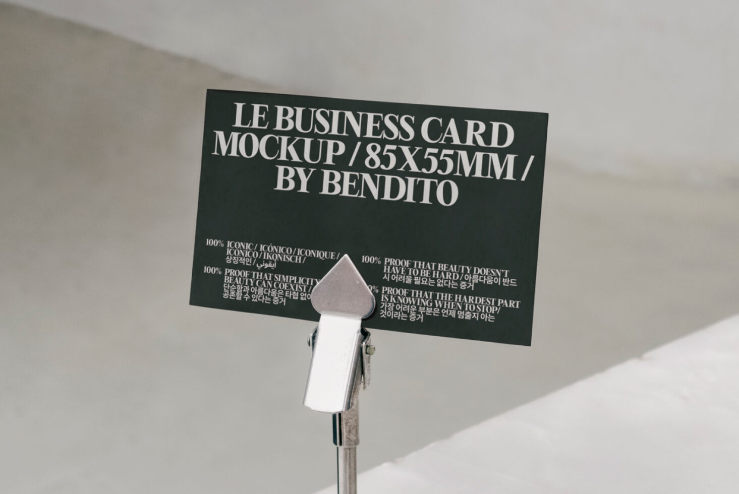 Le Business Card LB25W13 Mockup preview 2