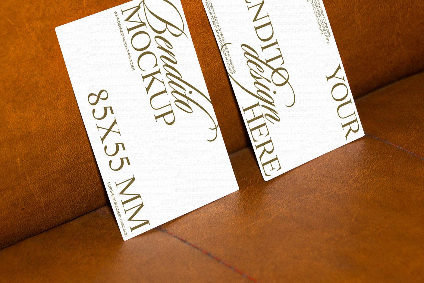 Business Card F 07 Mockup preview 2