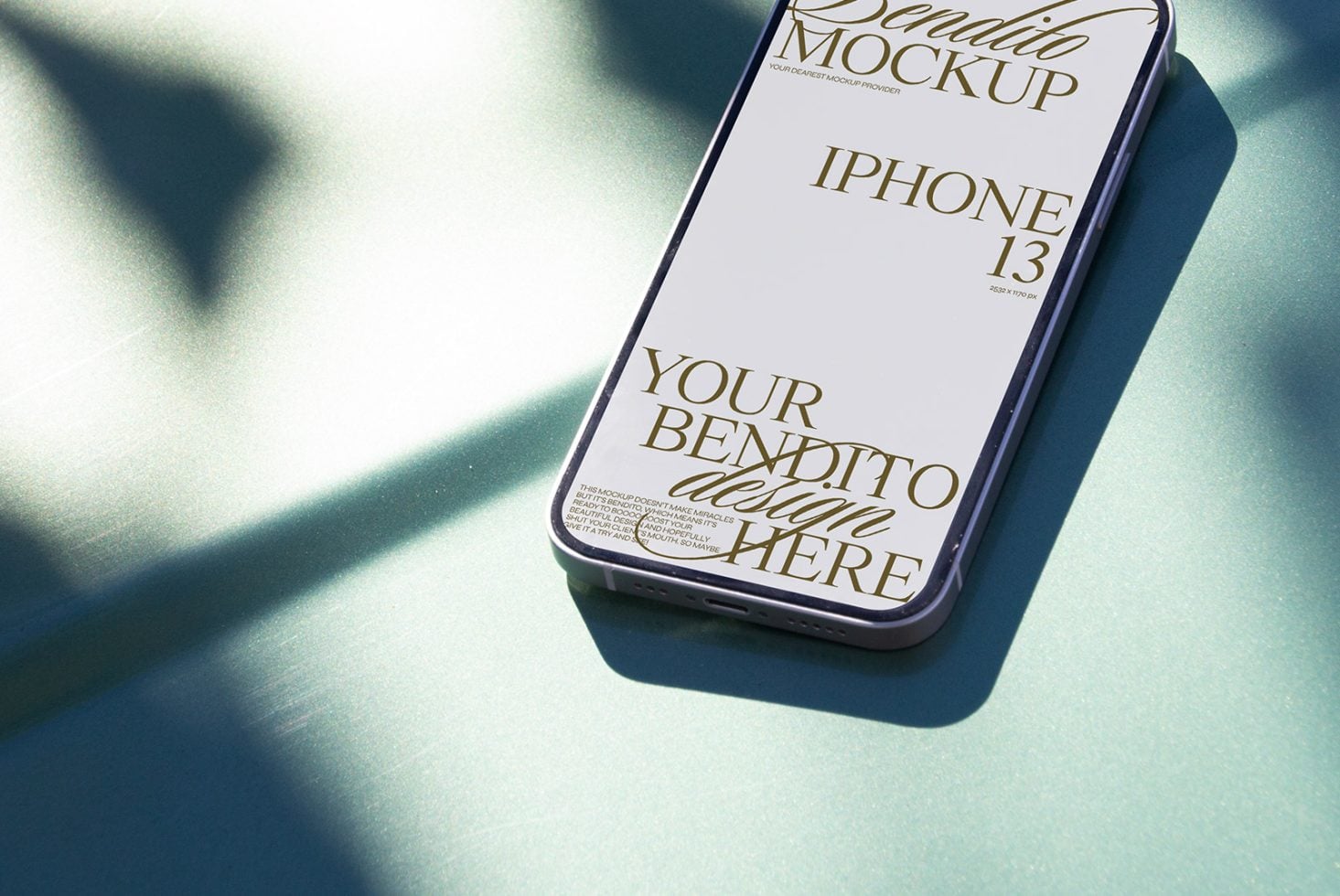 iPhone D 01 Mockup preview 2