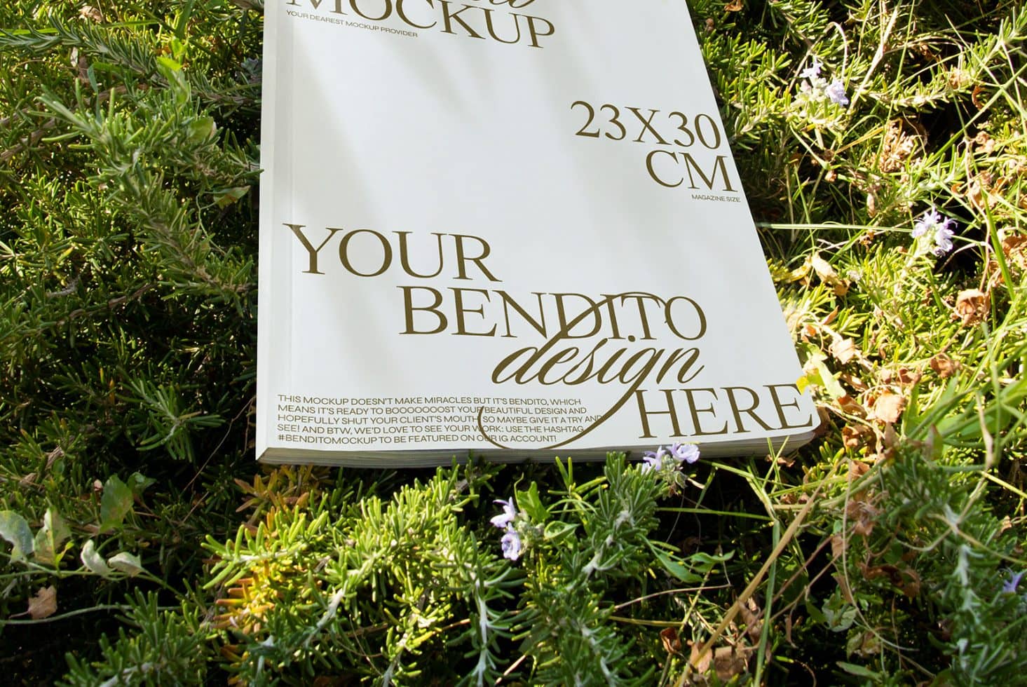 Magazine D 05 Mockup preview 2