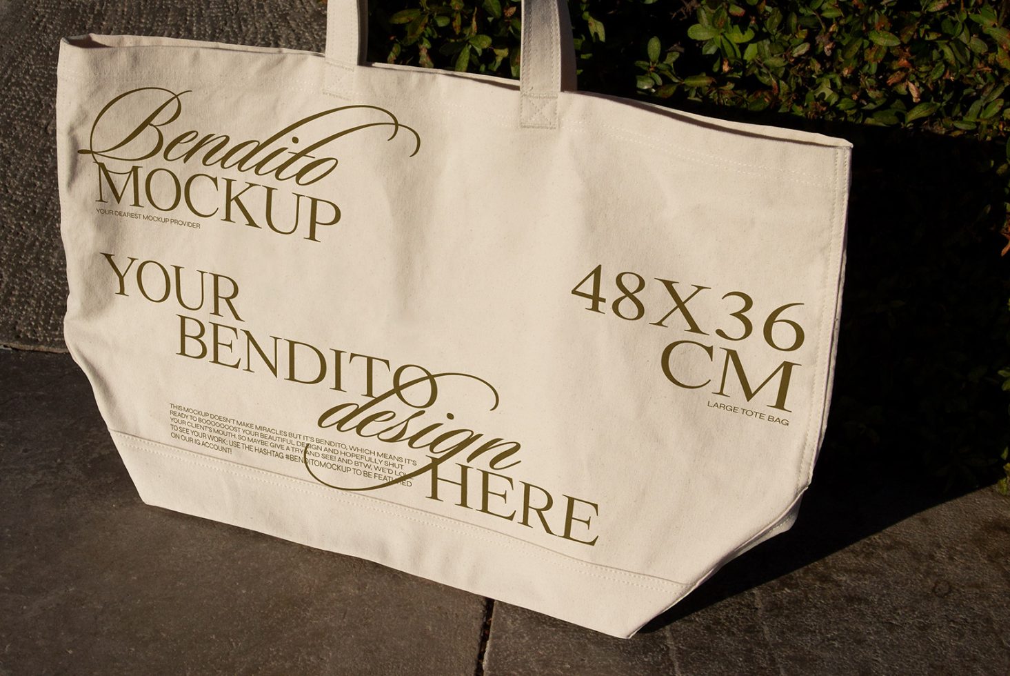 Tote Bag D 03 Mockup preview 2