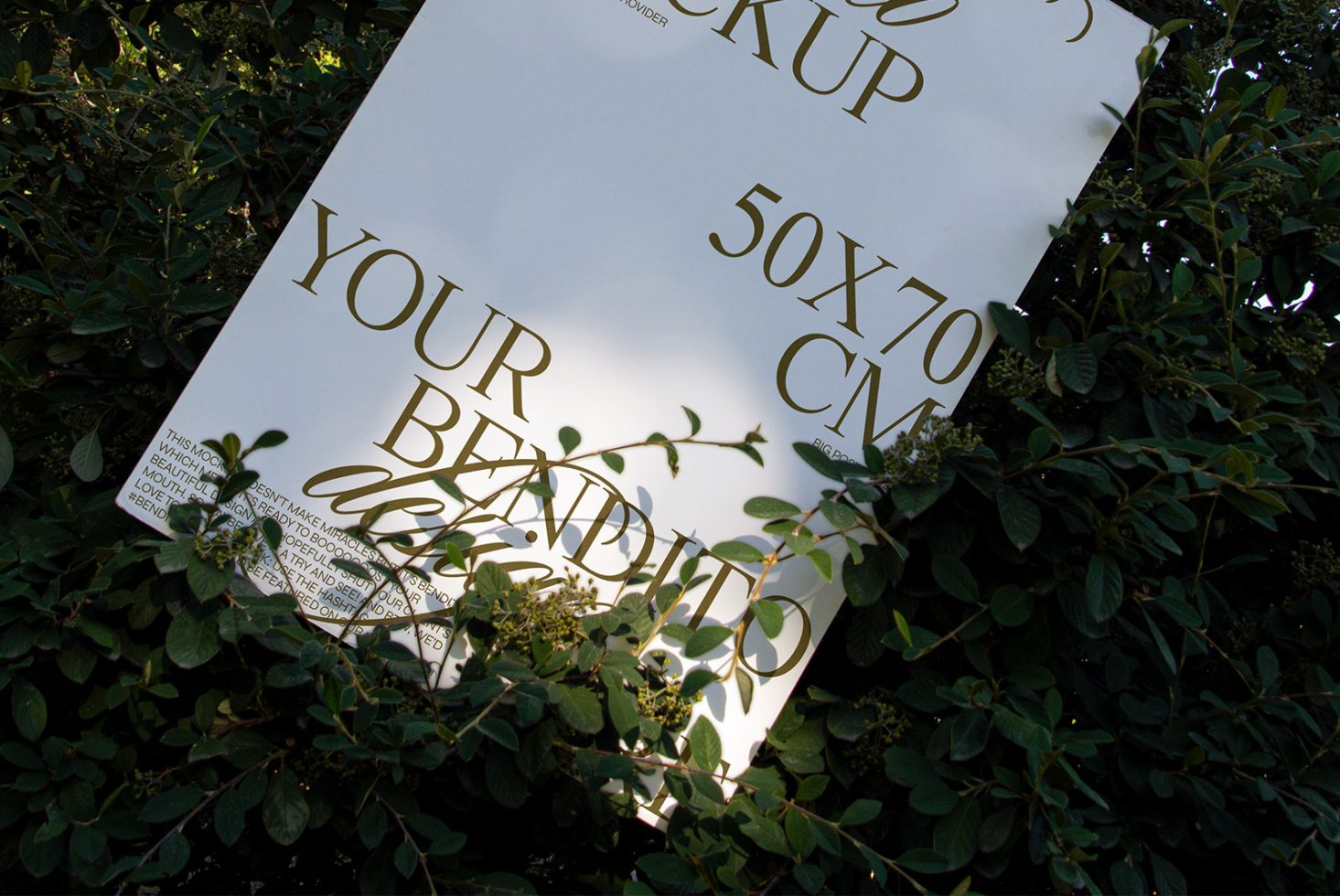 Poster D 06 Mockup preview 2