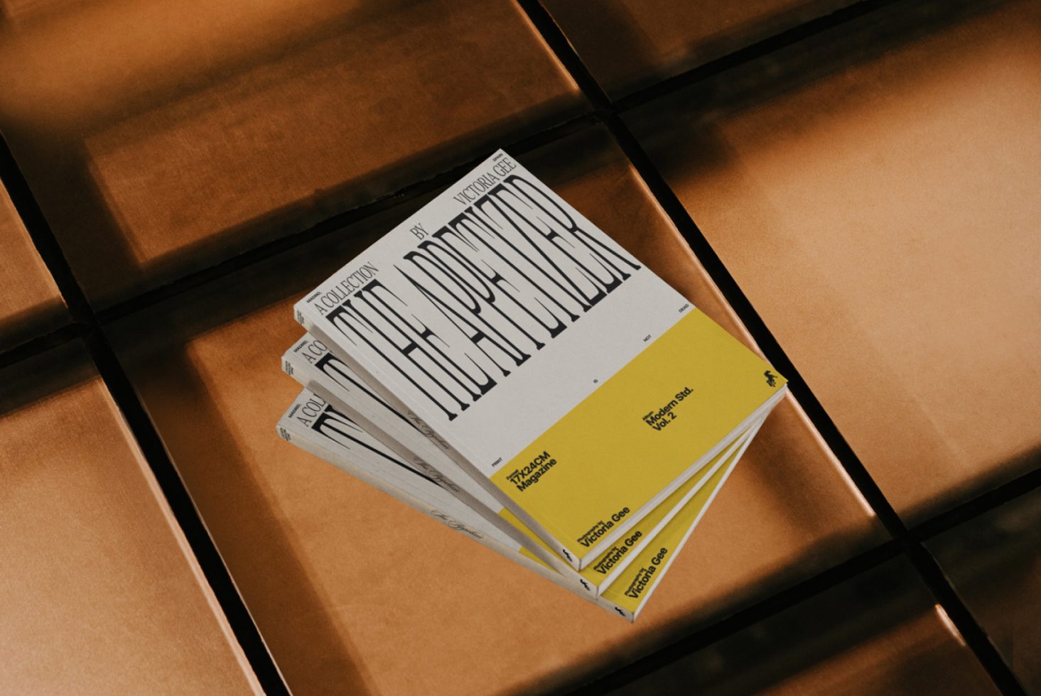 Magazine TA Mockup preview 2