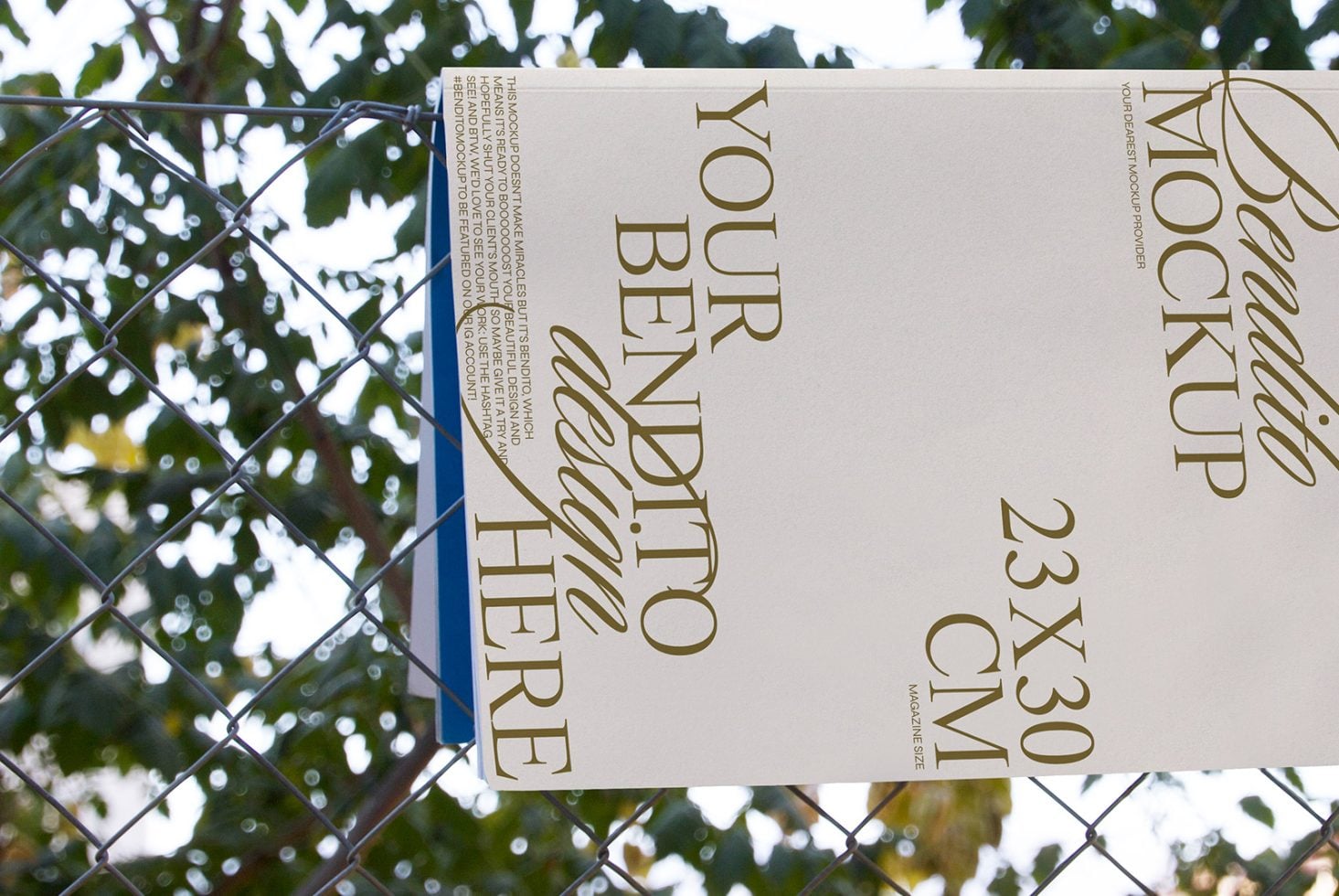 Magazine D 03 Mockup preview 2