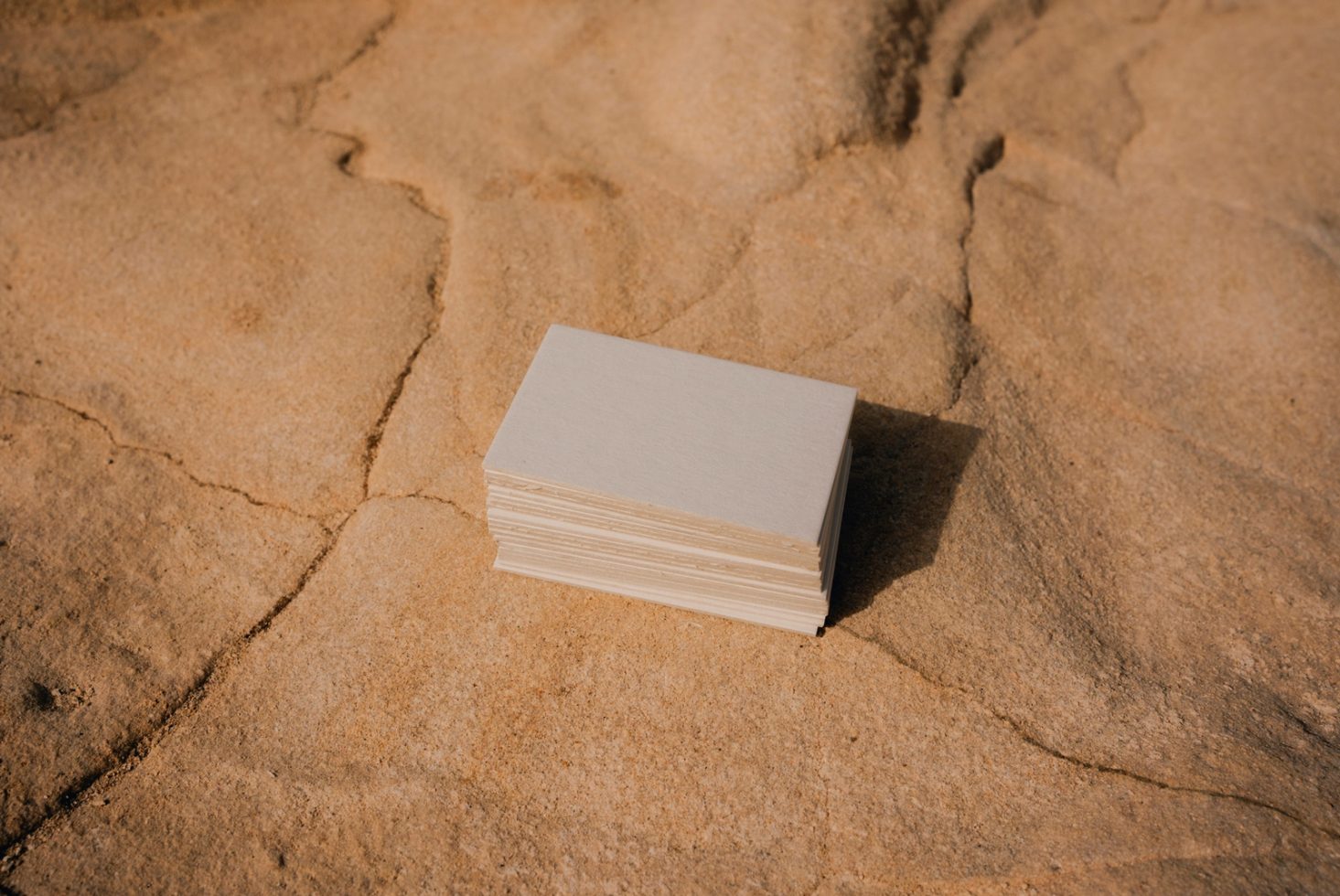 Business Card BL01 Mockup preview 2