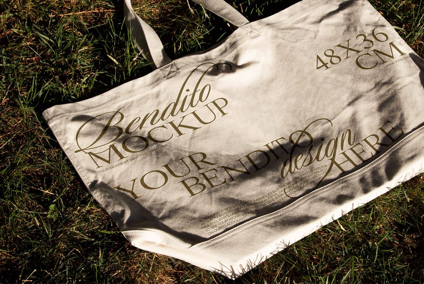 Tote Bag D 01 Mockup preview 2