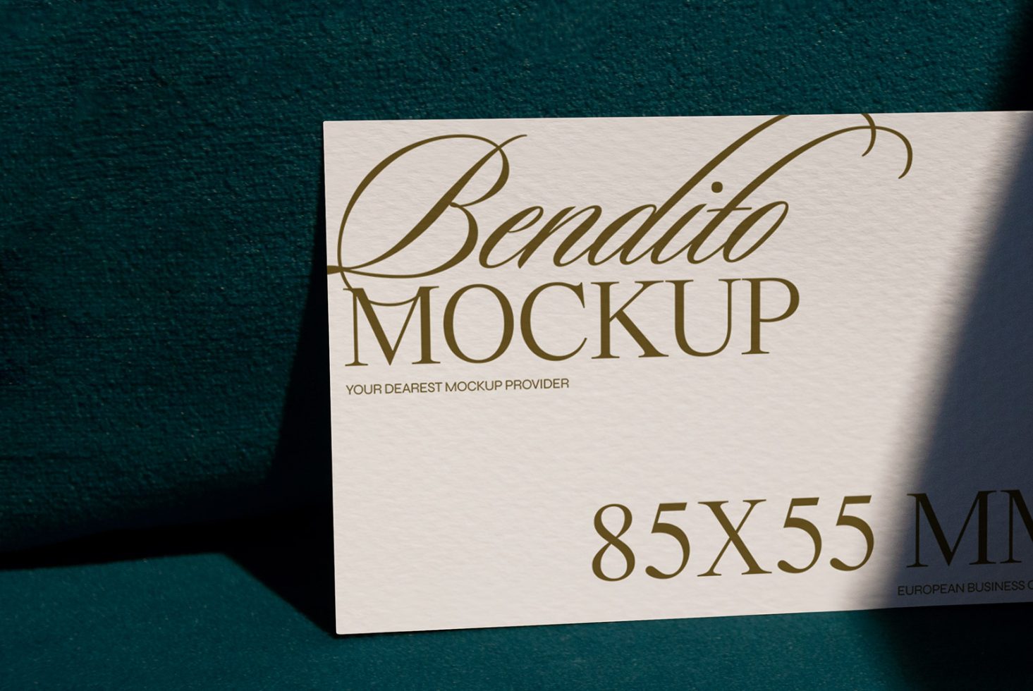 Business Card F 02 Mockup preview 2