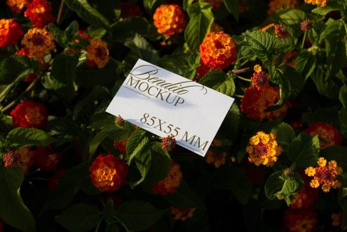 Business Card D 06 Mockup
