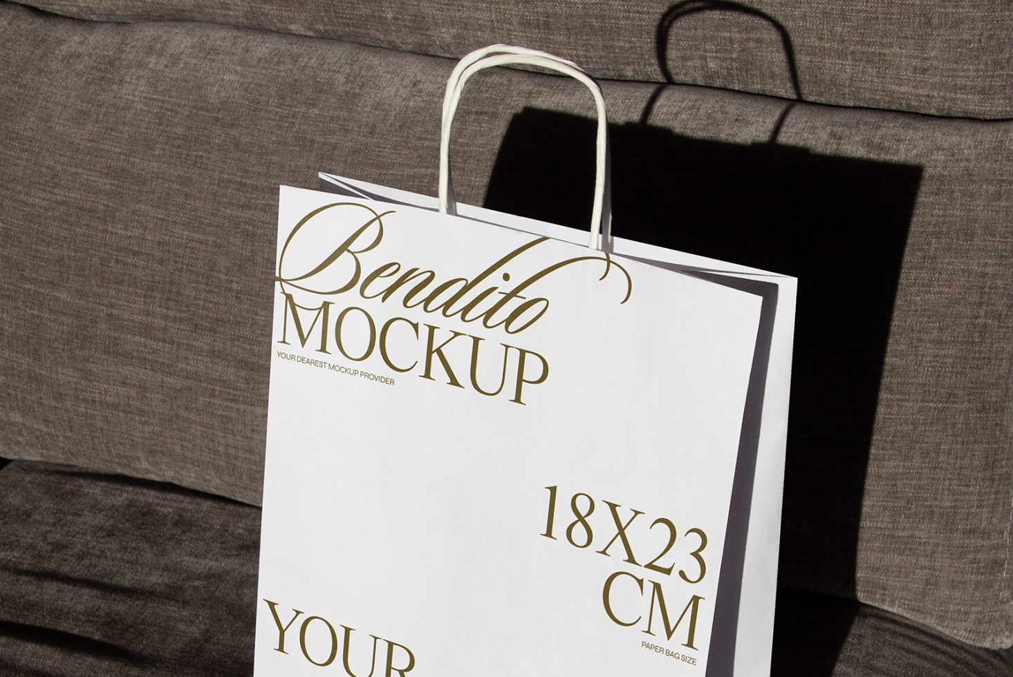 Small Paper Bag F 04 Mockup preview 2