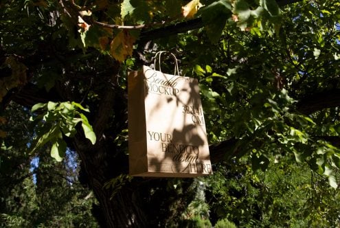 Big Paper Bag D 02 Mockup
