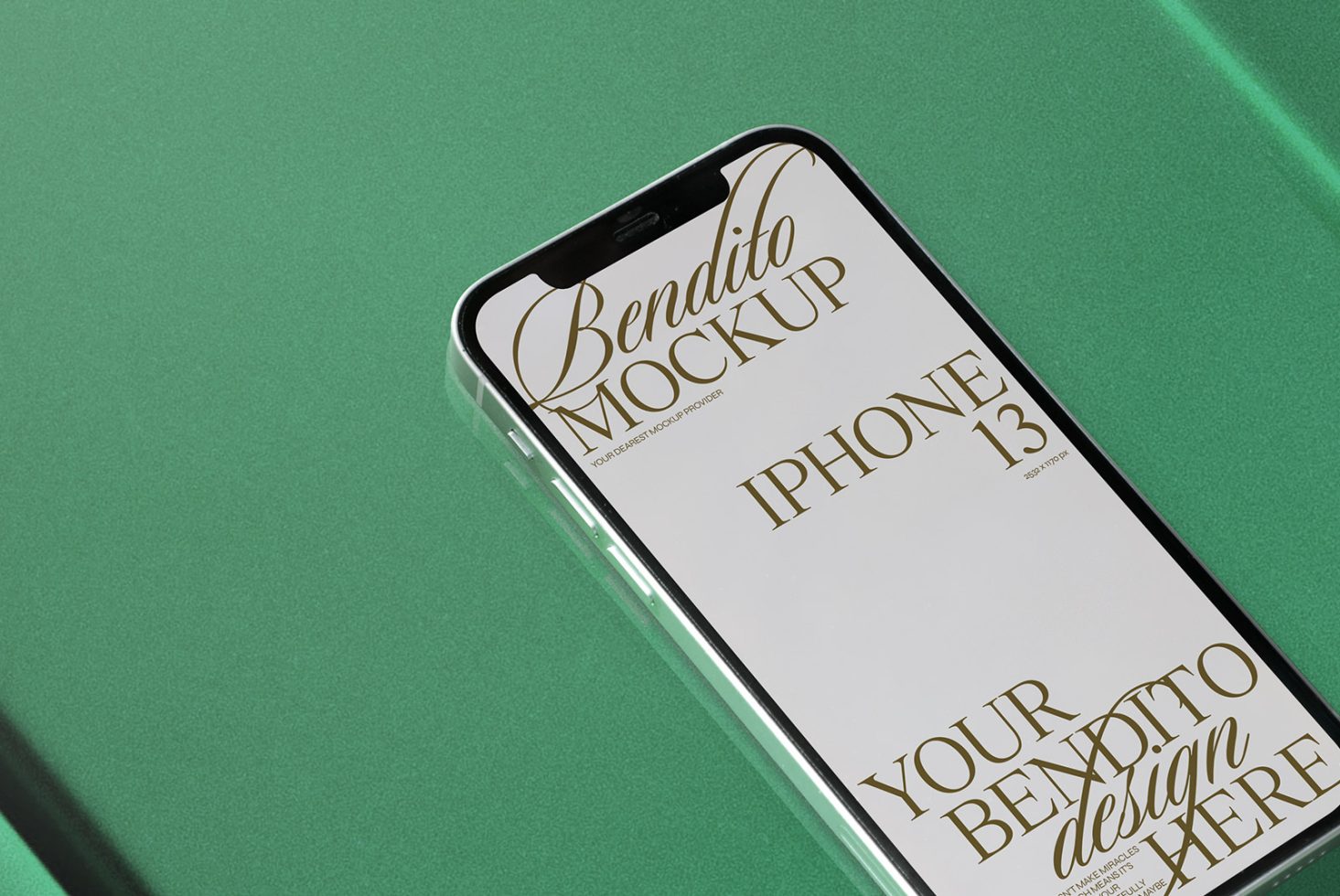 iPhone D 02 Mockup preview 2