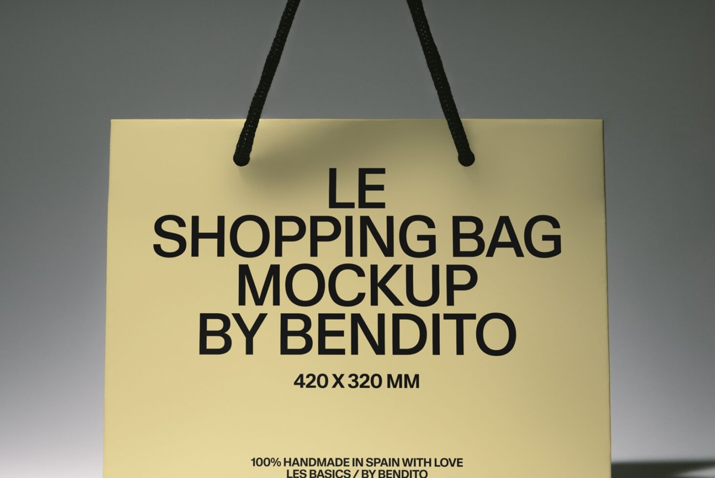 Le Shopping Bag LB26W31 Mockup preview 2