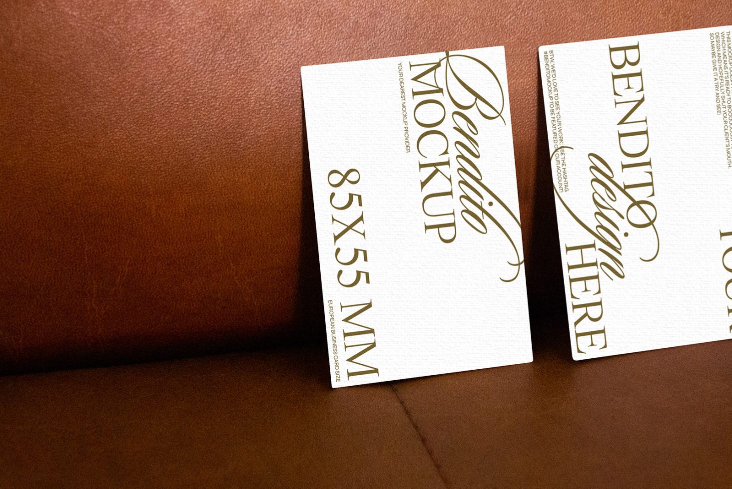 Business Card F 06 Mockup preview 2