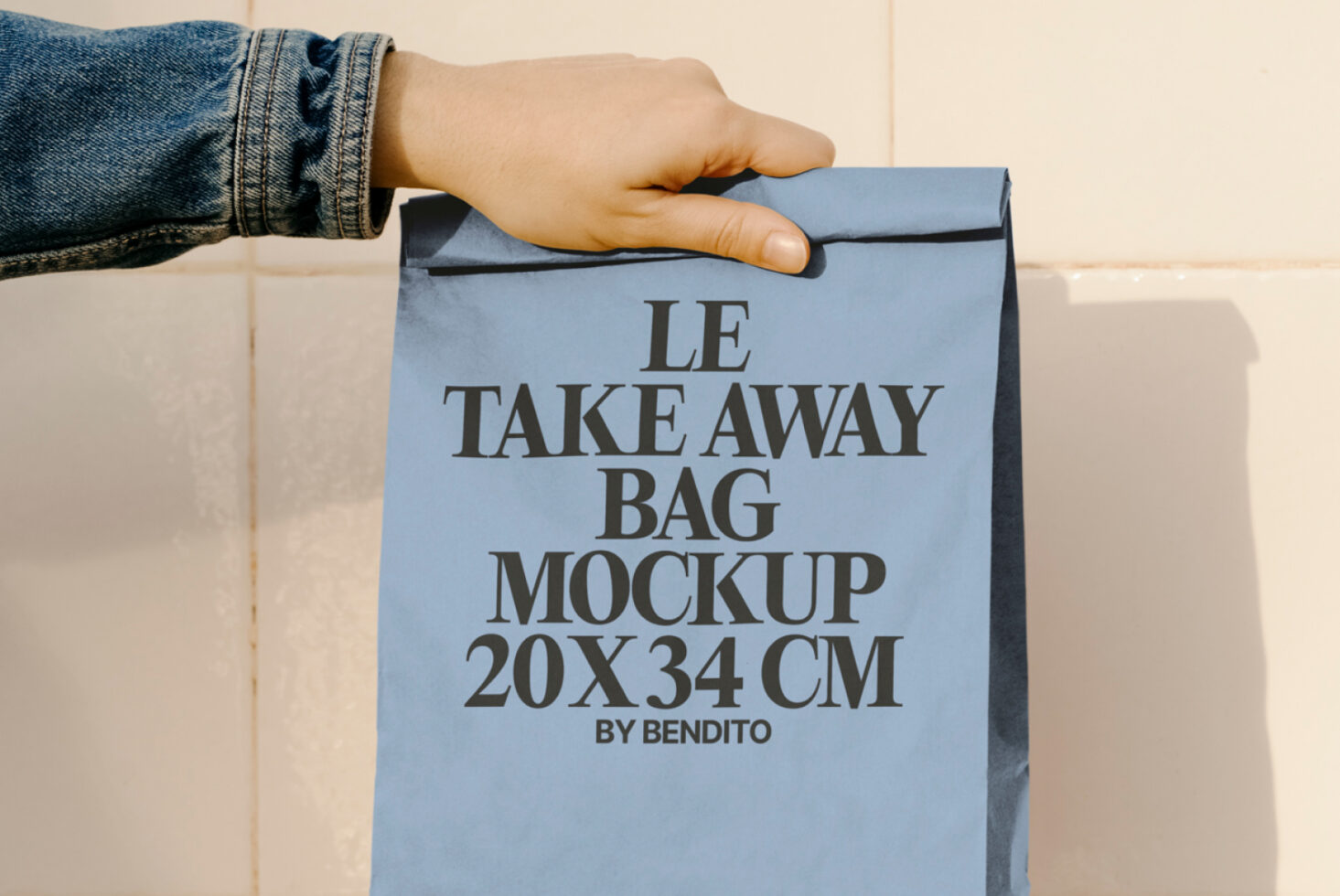Le Take Away Bag LB25W13 Mockup preview 2
