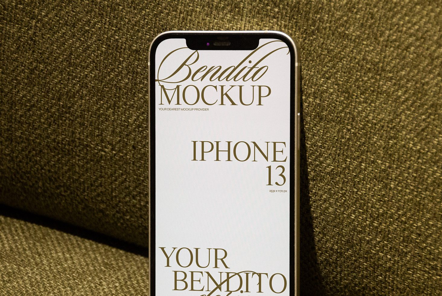 iPhone F 02 Mockup preview 2