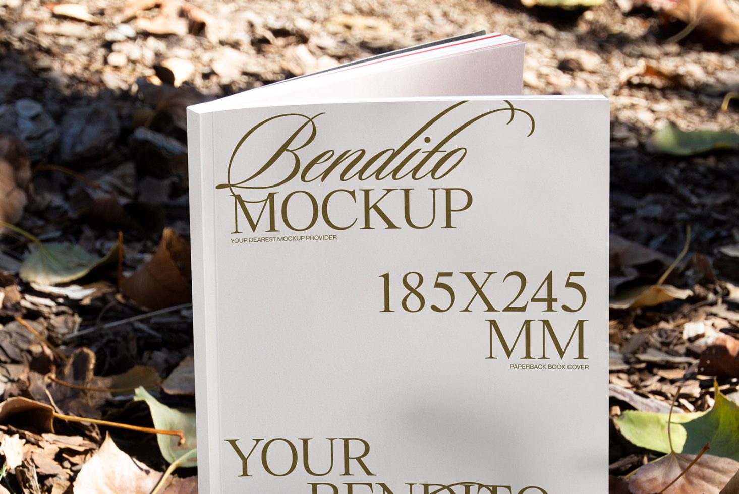 Book D 04 Mockup preview 2