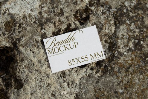 Business Card D 01 Mockup
