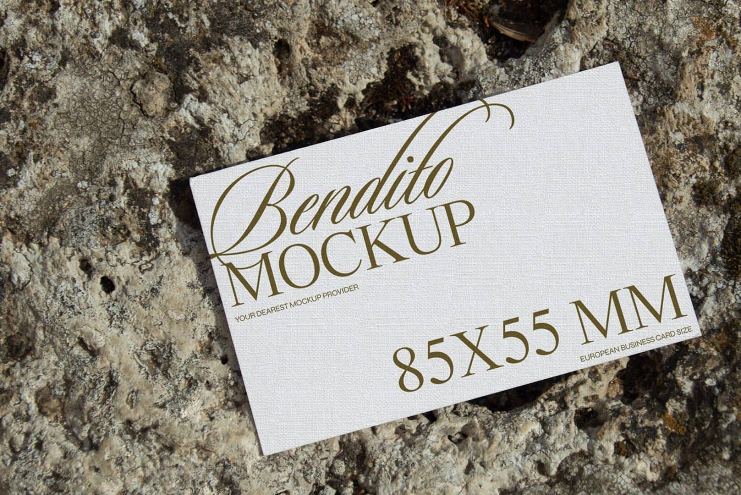 Business Card D 01 Mockup preview 2