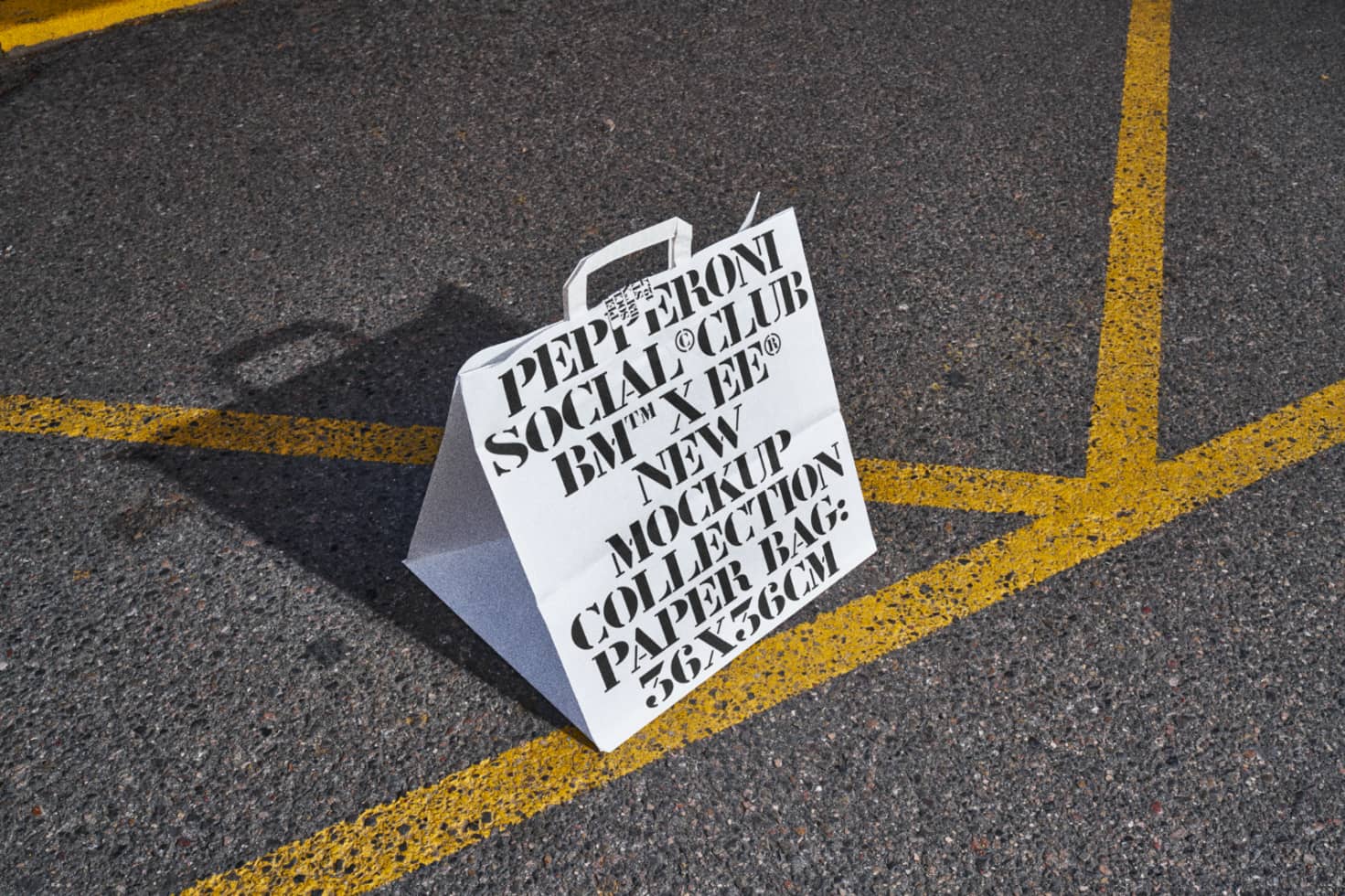 Paper Bag PSCv202 Mockup preview 3