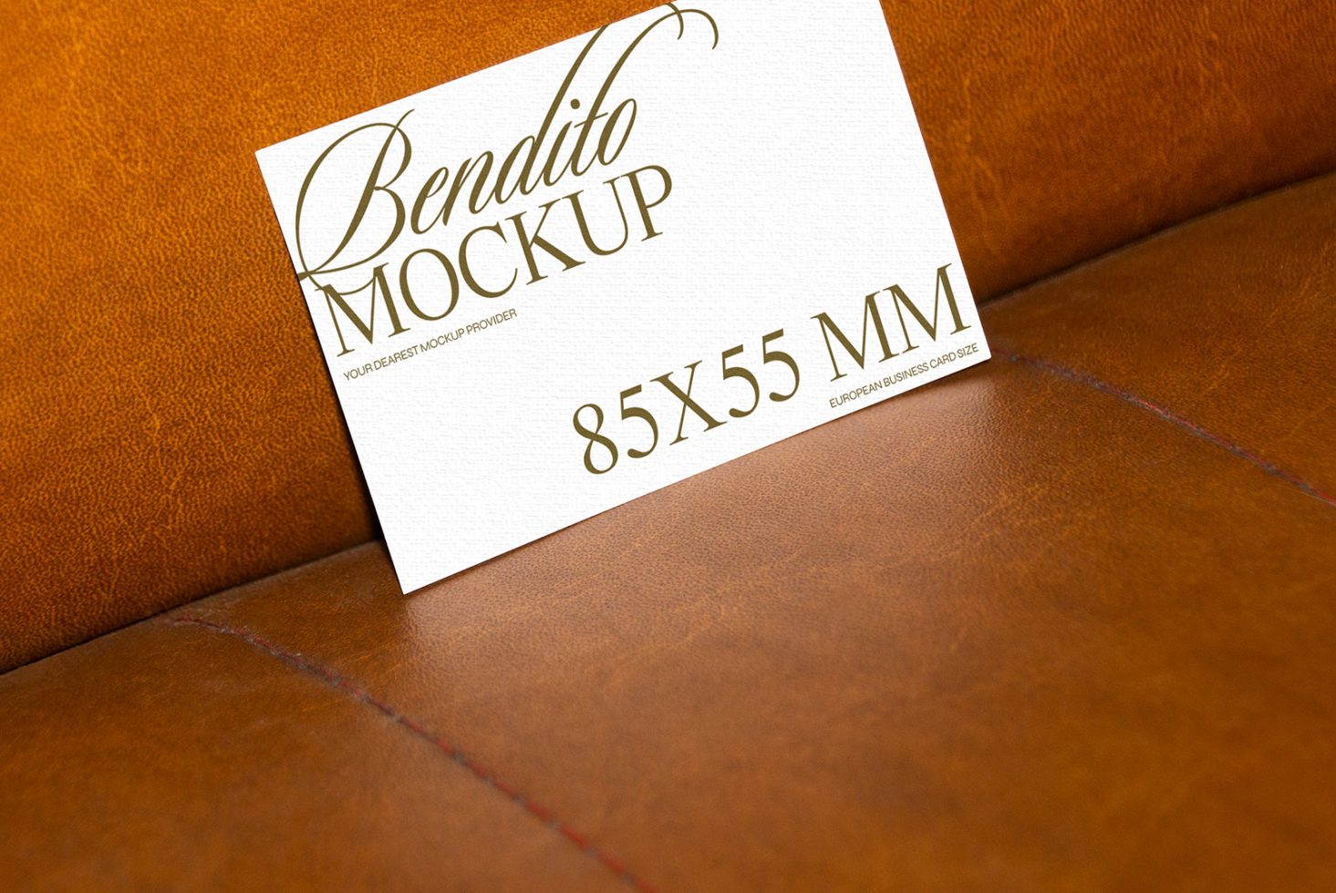 Business Card F 08 Mockup preview 2
