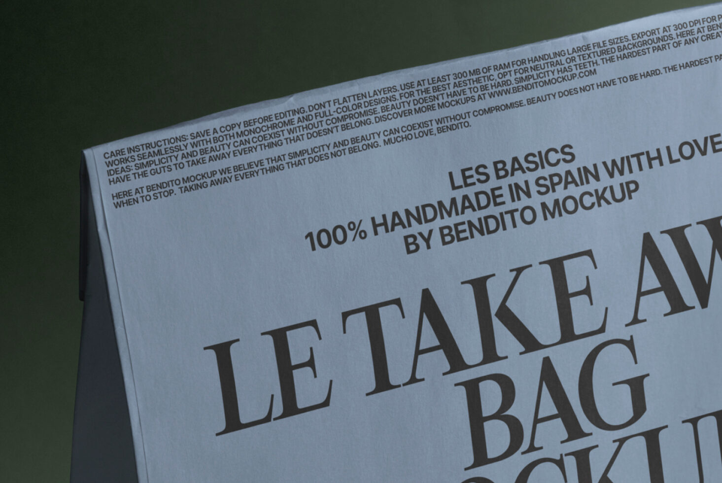 Le Take Away Bag LB25W31 Mockup preview 2
